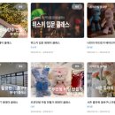 서린공인중개사사무소 이미지