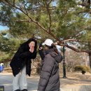나경이네집밥 - 공주시 | 멋진 소식이 있어요