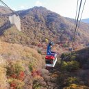 전북특별자치도산림박물관 이미지