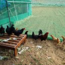 열호농장 이미지