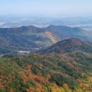 산야공인중개사사무소 이미지