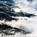 하늘계단 이미지