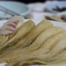 해뜨는바다 이미지