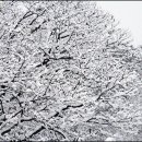 일동용암천 이미지