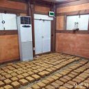 임천농장 이미지