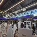 청춘휘트니스 이미지