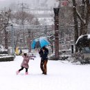 태백 관광지 투어 이미지