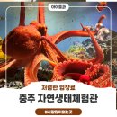 충주자연생태체험관(지하1층, 1층) | 저렴한 가격에 방문하기 좋은 조용한 곳, 충주자연생태체험관