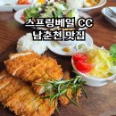 거두치킨 | 스프링베일 cc 근처 거두리 맛집 춘천 돈까스 거두 108