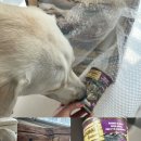 루카스독트레이닝 | 사료 건강사료~ 리티리버 사료 체중조절 천연 단백질 추천 ! 내추럴그레이트니스 독 래빗레시피 후기