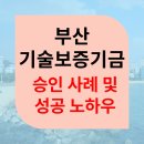 바이오솔루션스 | 부산 사업자 기술보증기금 정책자금 저금리 사업자금 받는 완벽 가이드