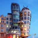 PARK BEAN(파크빈) 이미지