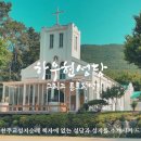 토리81