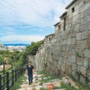 건축사사무소 골목 이미지