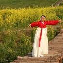 죽화로 Daum카페