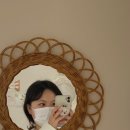 욜랑욜랑 이미지