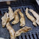 낭만도야지