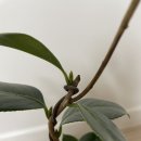 화전농장 이미지