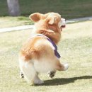 터치바디 이미지