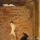 리비에르(Riviere) 이미지