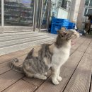 지에스(GS)25태안만리포점 이미지