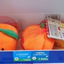 더벤티여수 이미지