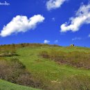 초원목장B 이미지