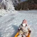 세종석유 | [세종/공주 아이와 가볼만한 곳] 줄 안 서고 무제한 눈썰매장 '이안숲속' 솔직 후기