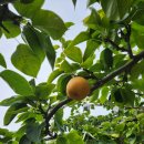 헤이리농장 이미지