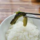 둘리식당 이미지