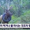 목낀때빼 이미지