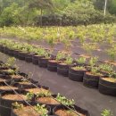 행산농장 이미지