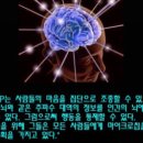 화이자, mRNA 독감 백신 시험 이미지