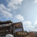 구천동송어마을 | 무주 여행 3 - 무주 구천동 송어 마을 송어회 맛집 후기🐟