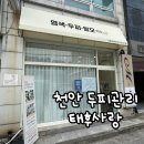 두정상가3길27 | 천안두피관리 프라이빗하게 스케일링과 모발관리 태후사랑 두정백석점 후기