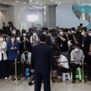 대부태양광발전소 이미지