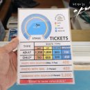 돌고래카 이미지