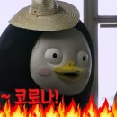 팀애플휘트니스 이미지