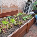 기로(여)경로당 이미지