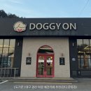 도기온 | [ 도기온 ] 대구 경산 하양 애견카페 추천-잔디운동장