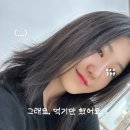 견생묭실 | 25.09월 일상
