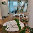 딱이야 오피스 이미지