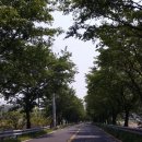 석은수 이미지