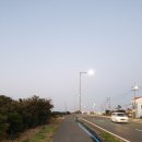 삼삼구옥 | 제주여행 1일차 한경면 모살왓가든에서 흑돼지와 우럭조림 먹은 후기(2020년 11월)