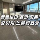 강서센트레빌4차(아) | 애견매트 시공보다 효과가 확실한 논슬립코팅 후기 by 부산 강서구 에코델타 푸르지오린