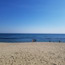 강문바다 이미지