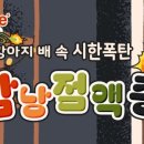 펫메이트 이미지