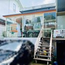 신기루 | 연희동 맛집 추천 신기루빠 오믈렛 덮은 식냥이 맛 후기