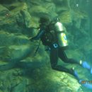 제주해양과학관 (아쿠아플라넷) 이미지