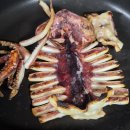 맥주안주로 딱! 구룡포 반건조오징어 피데기 리뷰